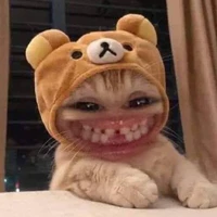 Tác giả đẹp traii 