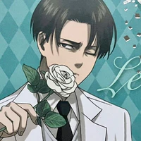 levi