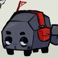 Coal
