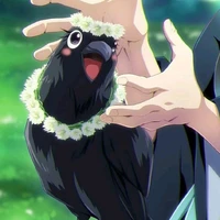 Ginko (Nadashi Sachiko)