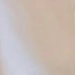 tác giả trẩu tre