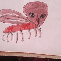 nyc jack-tiểu cầu đặc