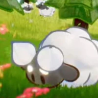 Cream Sheep