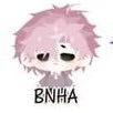 Hiha_BNHA