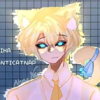 Hiha_Anti catnap