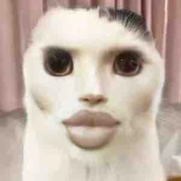 All( trừ những người cần trừ)