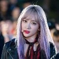 Ahn Hani (mama JK)