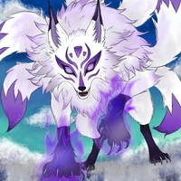 NGŨ VĨ HỒ /Shikara/