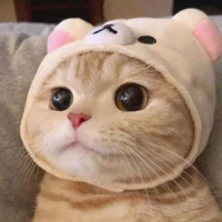 Con nhỏ t/g