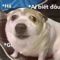 Cô Ngọc 😦