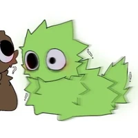 owackx