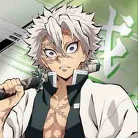 Shinazugawa Sanemi 