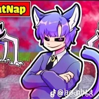 Hiha Catnap ( Thu quỹ)