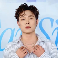 dương domic