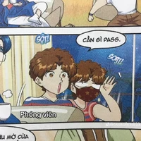 Song tử