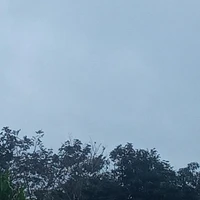 tác giả sai đẹp chiu