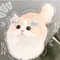 [ Cả 5 🎀]