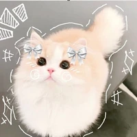 [ Cả 5 🎀]
