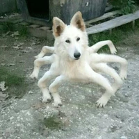 hệ thống khốn nạn