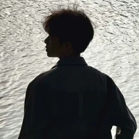 Lâm Phong Vĩ (n9)