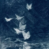 Nhân vật phụ