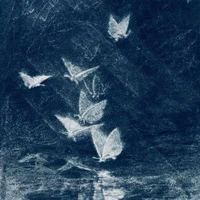 Nhân vật phụ