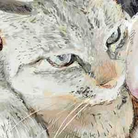 @ Hệ Thống - Shu.