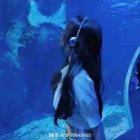 Hạ Lan Thy