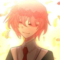 TT HIHA