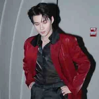 Huỳnh Hoàng Hùng  (Gemini)