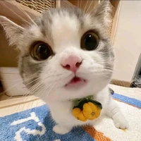nobita