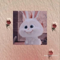 t/g thỏ