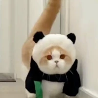 1708