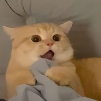 Quyên