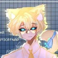 hiha anti catnap