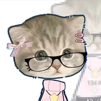 mèo con