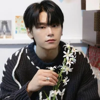 Pi Han Wool