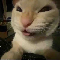 cứt lộn xào me🥵