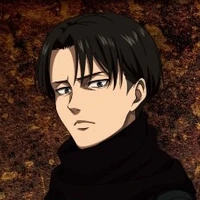 levi