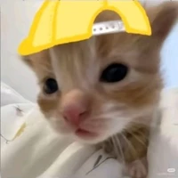 Hệ thống 2212(Ferra)