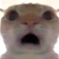 Hệ thống 2209(Nakki)