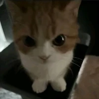 Hệ thống 1212(Merry)