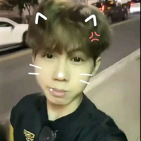 Hữu Đạt-Phoneix