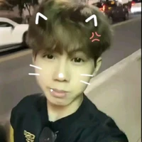 Hữu Đạt-Phoneix