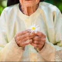 Mẹ Nuôi Duy