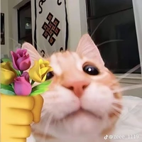 Tác giả siêu nhân✨