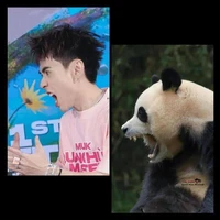 Tác giả nè🌷🌷🌷