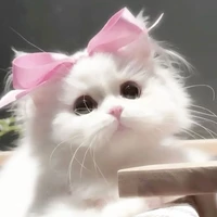 tác giả bị bệnh lườii