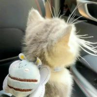 🐥