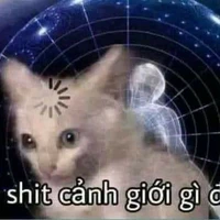 3 con người có não